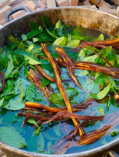 ayahuasca cerveau neuroimagerie
