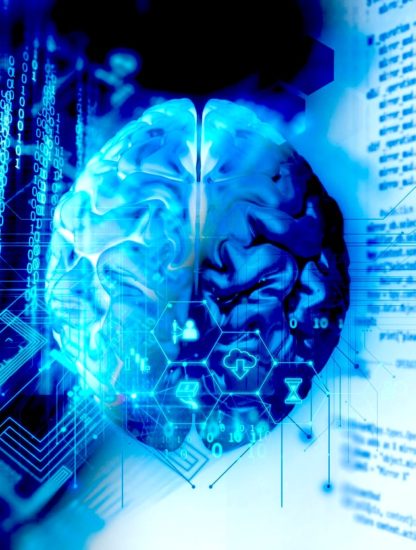 cerveau atlas human brain project