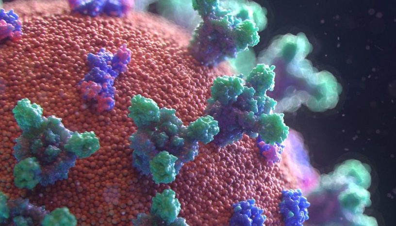 coronavirus proteine pointe