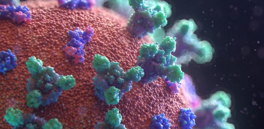coronavirus proteine pointe
