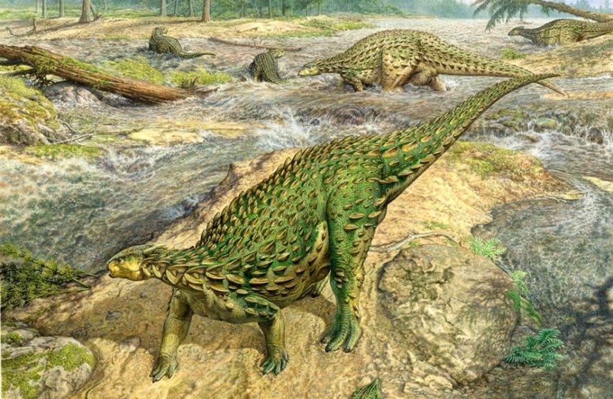 dinosaure complet