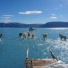 fonte glace