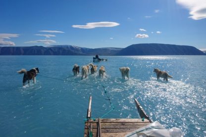 fonte glace