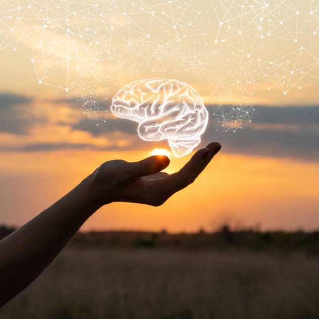 cerveau effets meditation pleine conscience depression anxiete