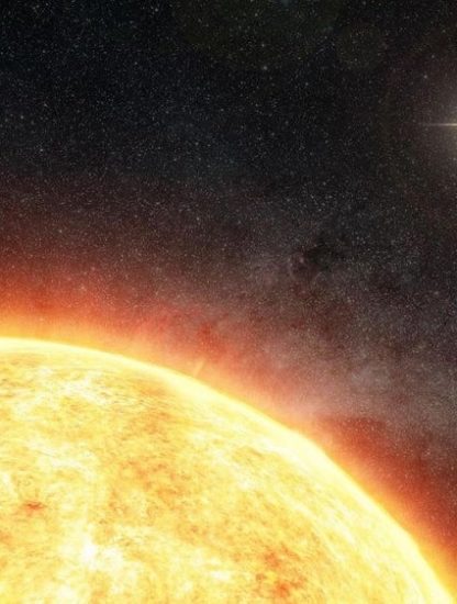 soleil compagnon