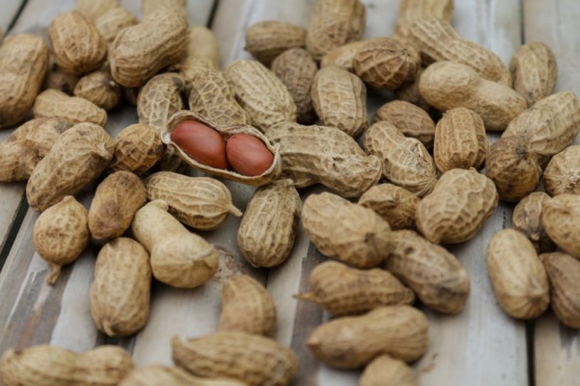 traitement allergie arachide