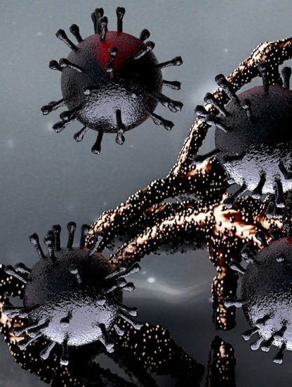 arbre genealogique coronavirus revele mute tres peu