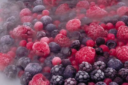 cryogenie aliments 2020