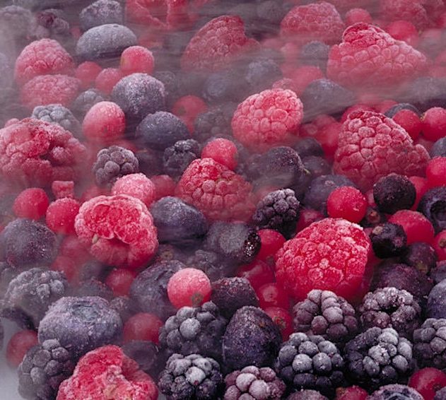 cryogenie aliments 2020
