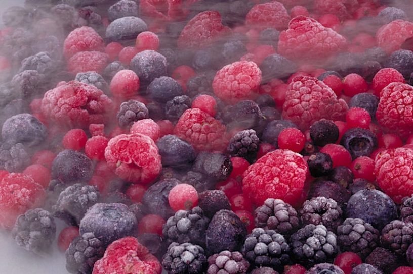 cryogenie aliments 2020