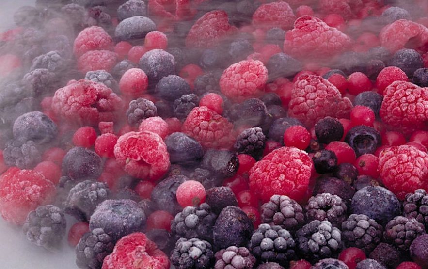 cryogenie aliments 2020