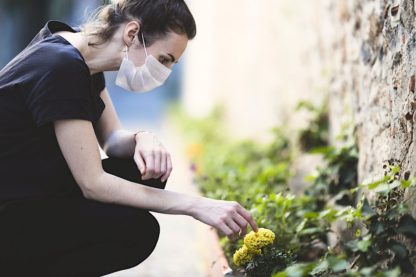 dans quelle mesure confinement a permis nature de se retablir