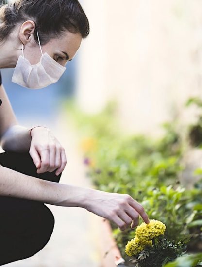 dans quelle mesure confinement a permis nature de se retablir