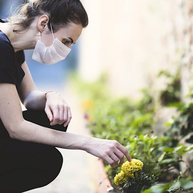 dans quelle mesure confinement a permis nature de se retablir