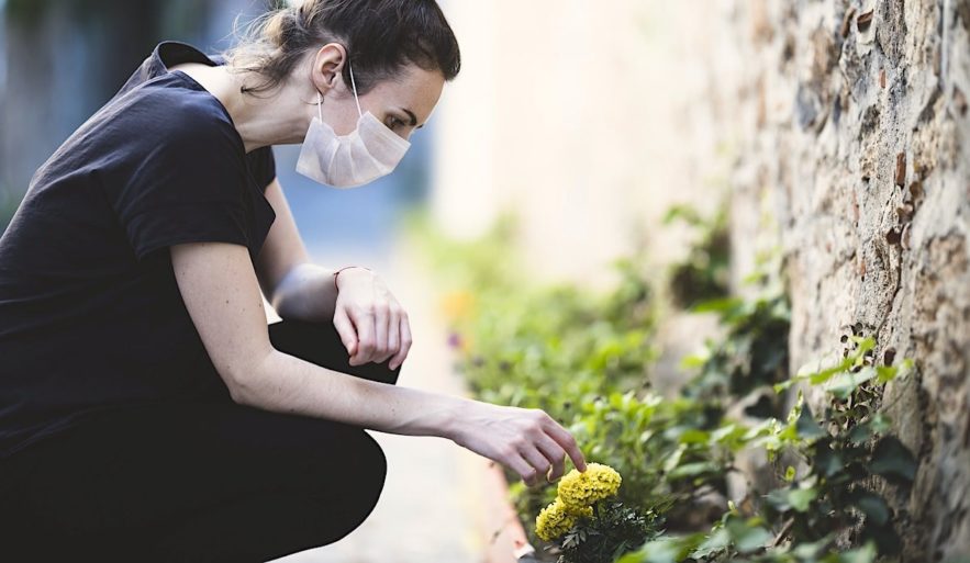 dans quelle mesure confinement a permis nature de se retablir