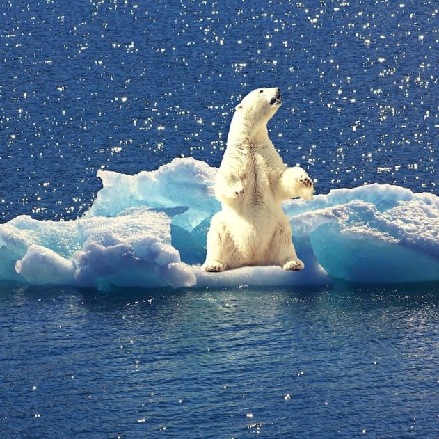 fonte calottes glaciaires correspondent pires scenarios-modeles climatiques