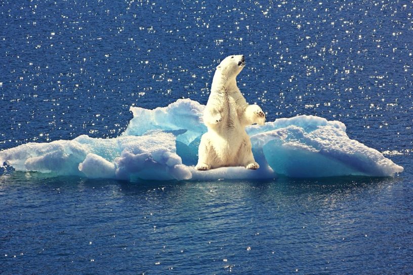 fonte calottes glaciaires correspondent pires scenarios-modeles climatiques