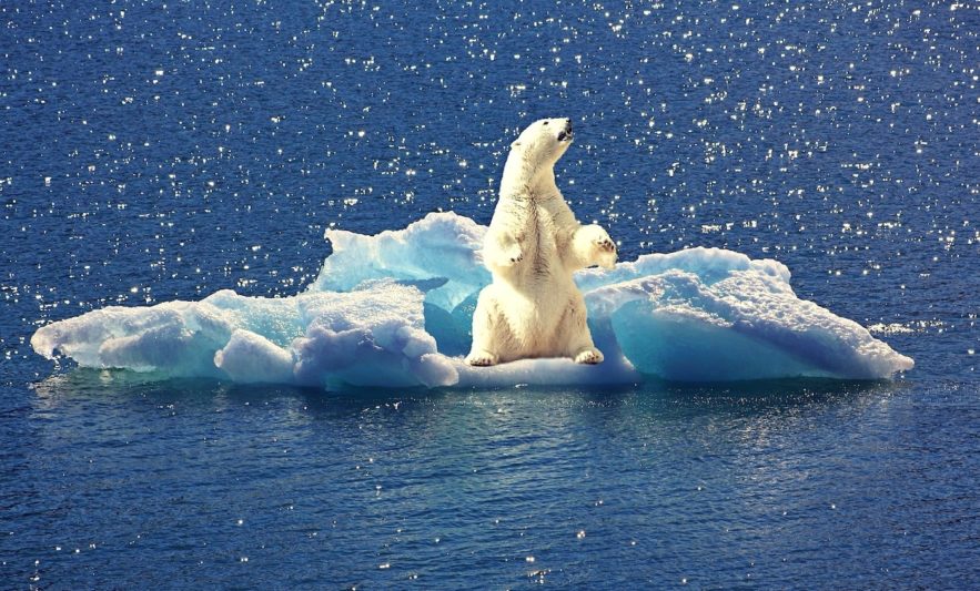 fonte calottes glaciaires correspondent pires scenarios-modeles climatiques