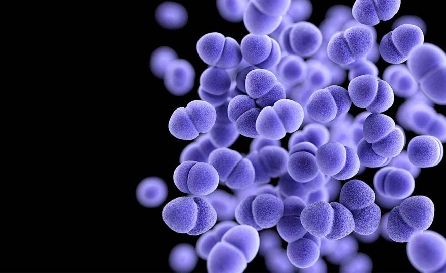 nouveau medicament contre super-bacteries mortelles pourrait sauver dizaines milliers de vies
