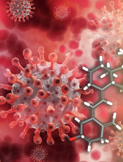 niveaux adequats vitamine d reduisent complications deces covid-19