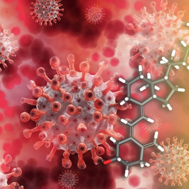 niveaux adequats vitamine d reduisent complications deces covid-19