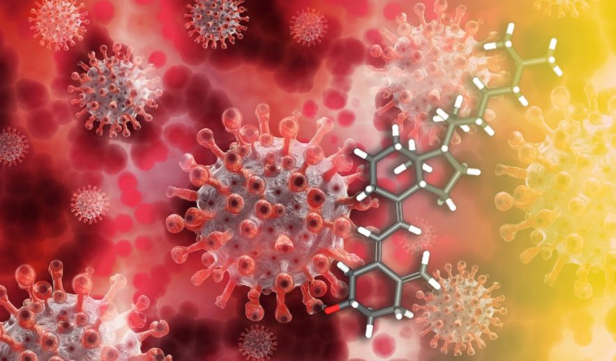 niveaux adequats vitamine d reduisent complications deces covid-19