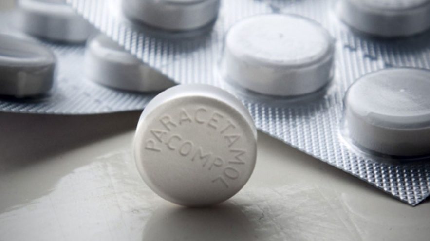 paracetamol comportement