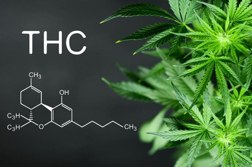thc sdra