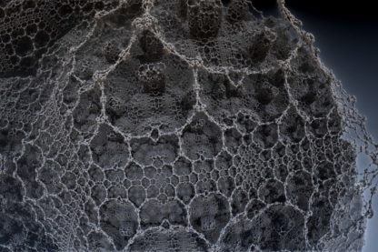 théorie univers réseau neuronal