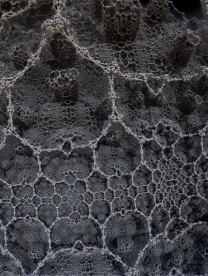 théorie univers réseau neuronal