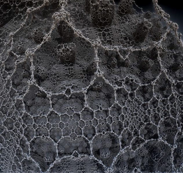 théorie univers réseau neuronal