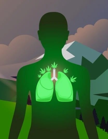 CBD réduit dommages pulmonaires COVID couv