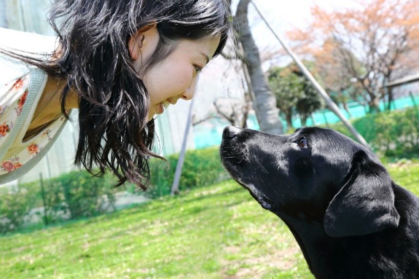 cerveau chiens préoccupe pas visages couv