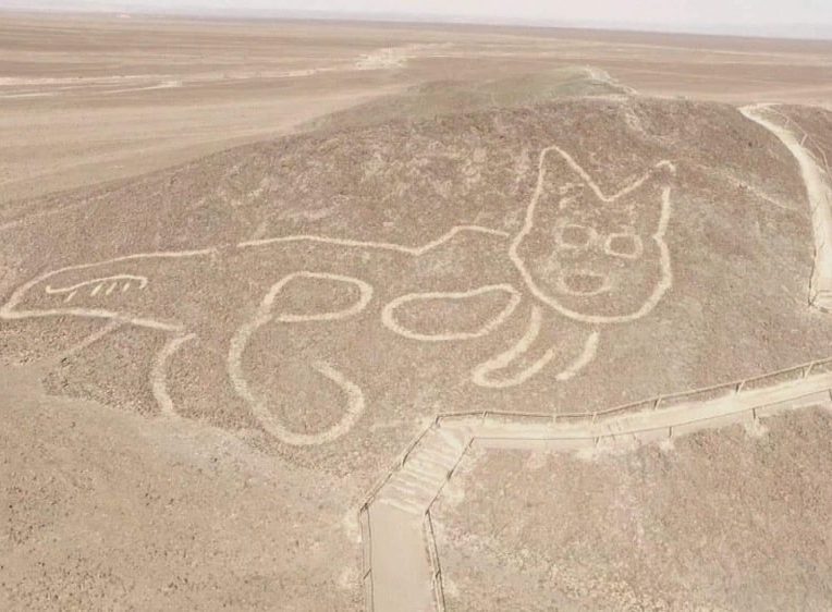 découverte géoglyphe chat désert Nazca vieux 2000 ans couv