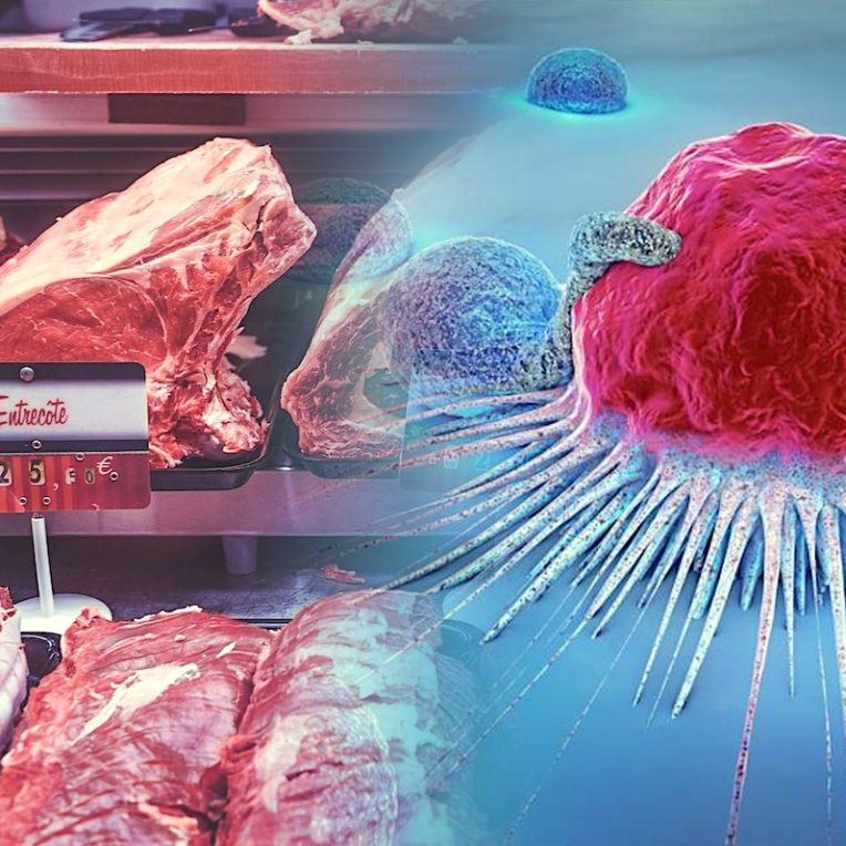 decouverte lien moleculaire entre alimentation et risque cancer