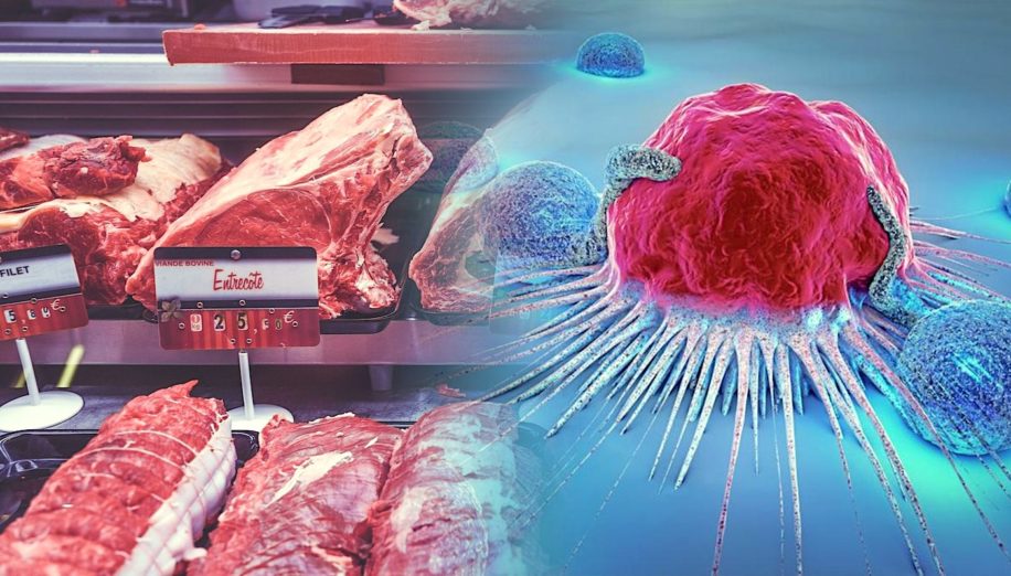 decouverte lien moleculaire entre alimentation et risque cancer