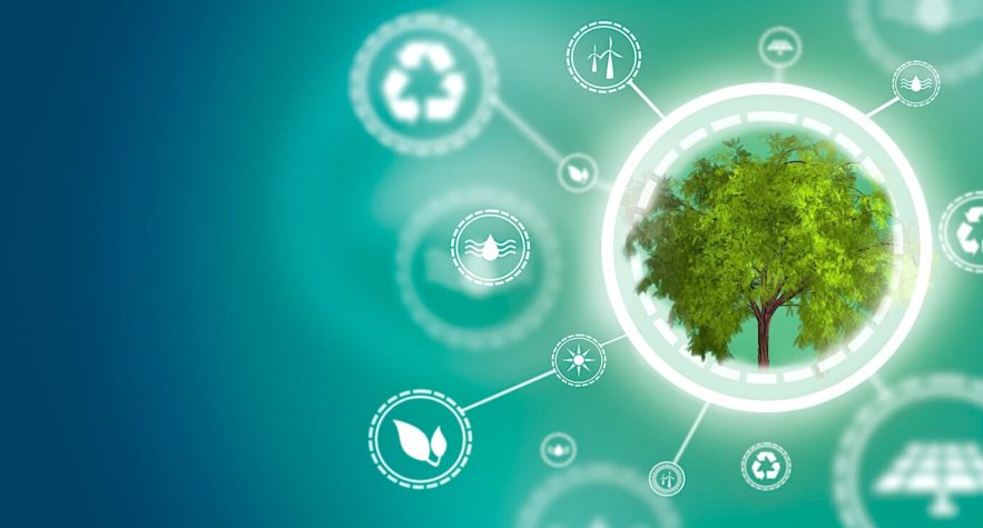 economie circulaire pourrait sauver economie mondiale apres covid-19