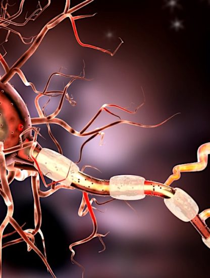 hydrogel conducteur pour guerir lesions nerveuses