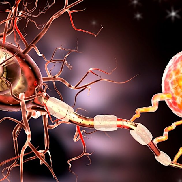 hydrogel conducteur pour guerir lesions nerveuses