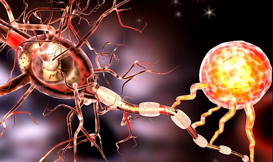 hydrogel conducteur pour guerir lesions nerveuses