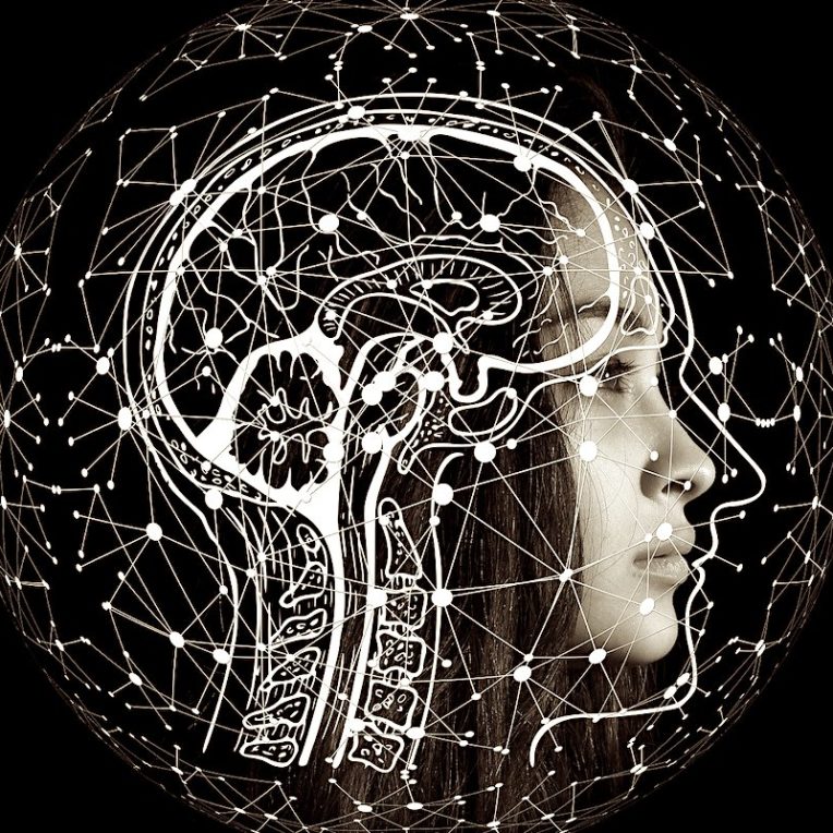 personnalite curieuse explications dopamine