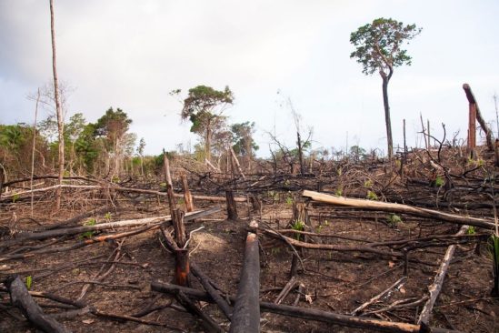 protéger environnement nécessaire ère pandémies couv