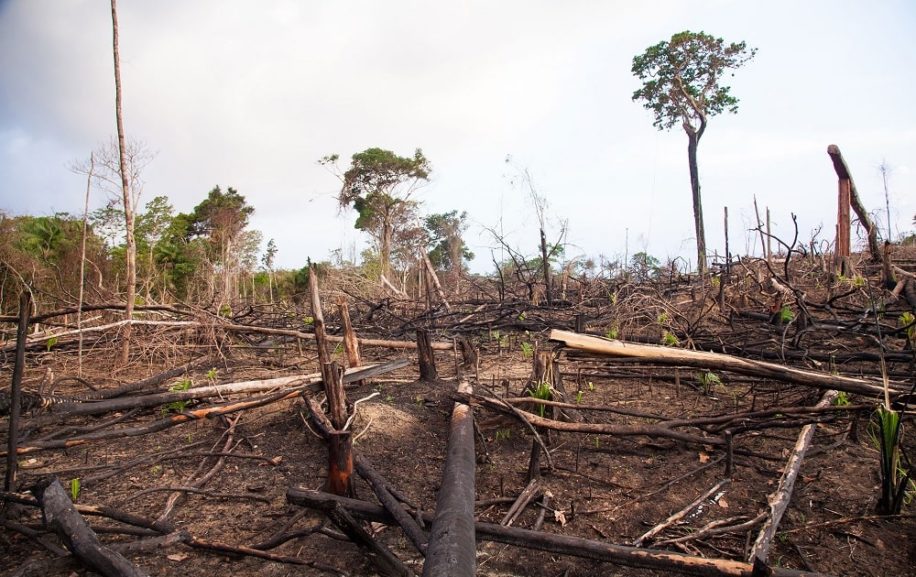 protéger environnement nécessaire ère pandémies couv