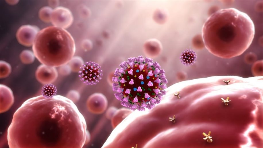 protéine particulière facilite infection cellules SARS-CoV-2 couv