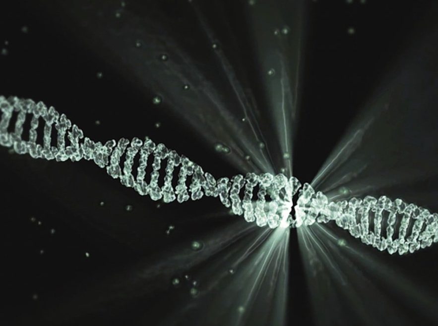 transport outils édition gènes CRISPR vivo