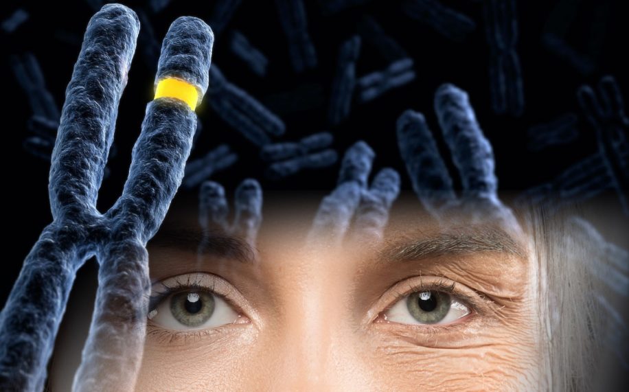 chercheurs ont partiellement inverse processus vieillissement cellulaire homme