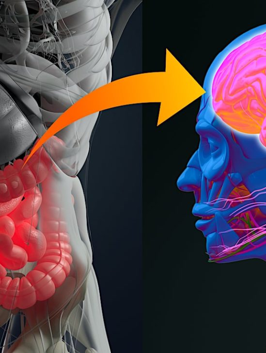 lien microbiote intestinal maladie alzheimer confirme