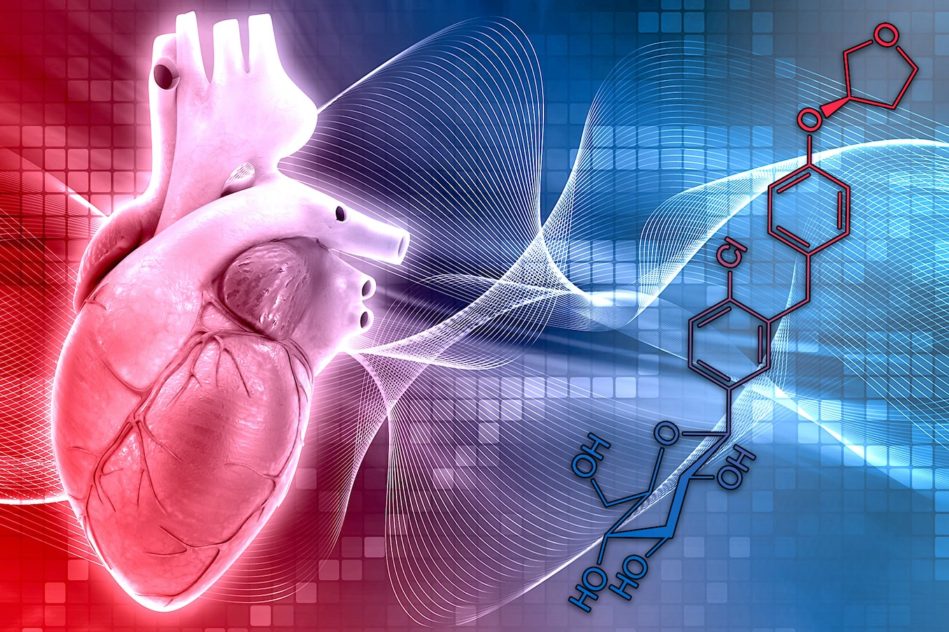 medicament diabete peut traiter et inverser insuffisance cardiaque
