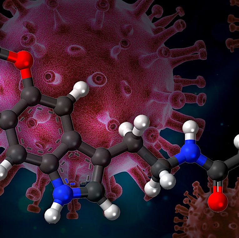 melatonine potentiel traitement covid-19