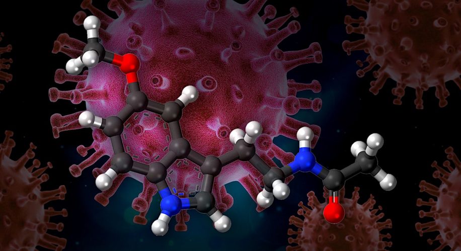 melatonine potentiel traitement covid-19